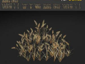 草パッチのテクスチャ 3Dモデル