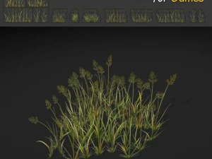 草パッチのテクスチャ 3Dモデル