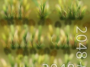 草パッチのテクスチャ 3Dモデル