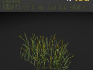 grass patch textures 3D 模型