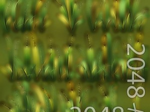 grass patch textures 3D 模型