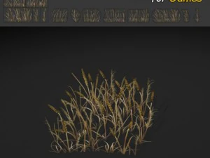 草パッチのテクスチャ 3Dモデル