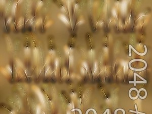 grass patch textures 3D 模型