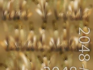 草パッチのテクスチャ 3Dモデル