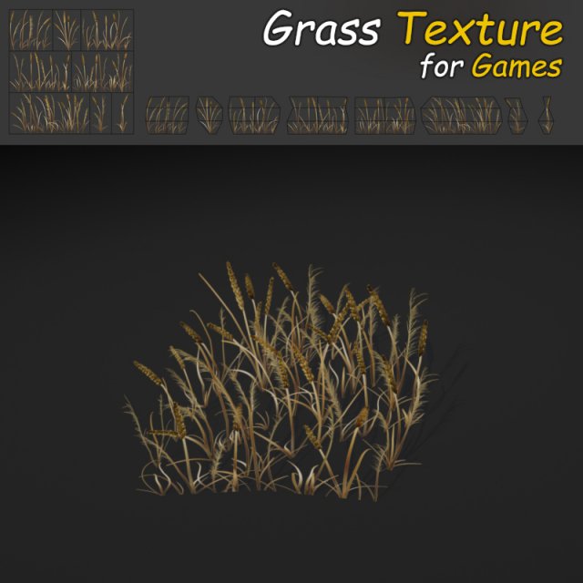 dry plains grass 3D Model .c4d .max .obj .3ds .fbx .stl .blend 