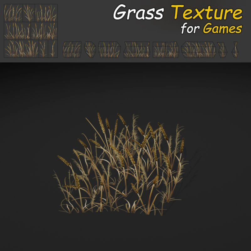 grama seca das plan&iacute;cies Modelo 3D .c4d .max .obj .3ds .fbx .stl .blend 