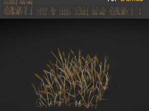 dry plains grass 3D Model