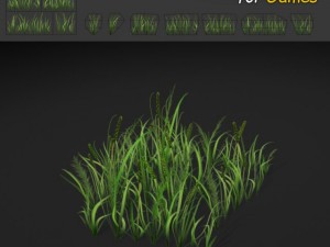 grass texture 3D Model