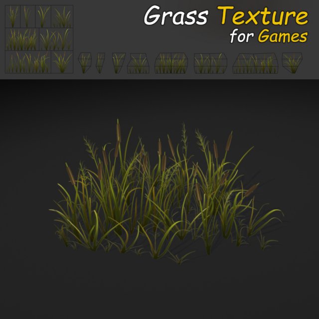cattail grass texture 3D Model .c4d .max .obj .3ds .fbx .stl .blend 