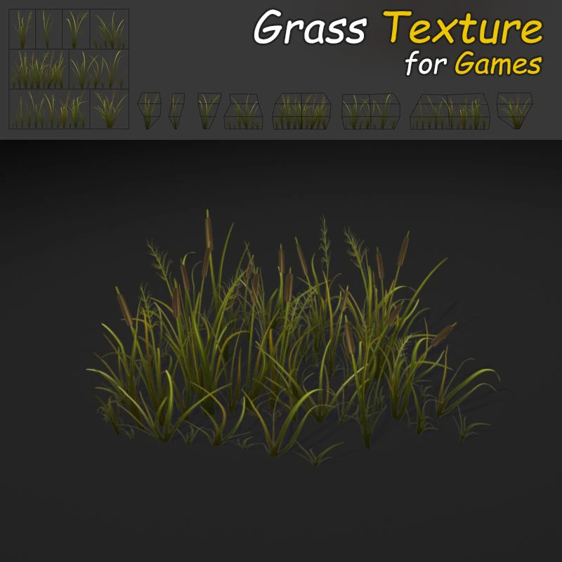 cattail grass texture 3D Model .c4d .max .obj .3ds .fbx .stl .blend