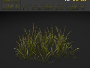 cattail grass texture 3D Model
