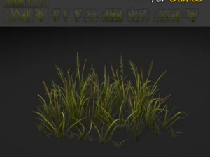 ガマの草のテクスチャ 3Dモデル