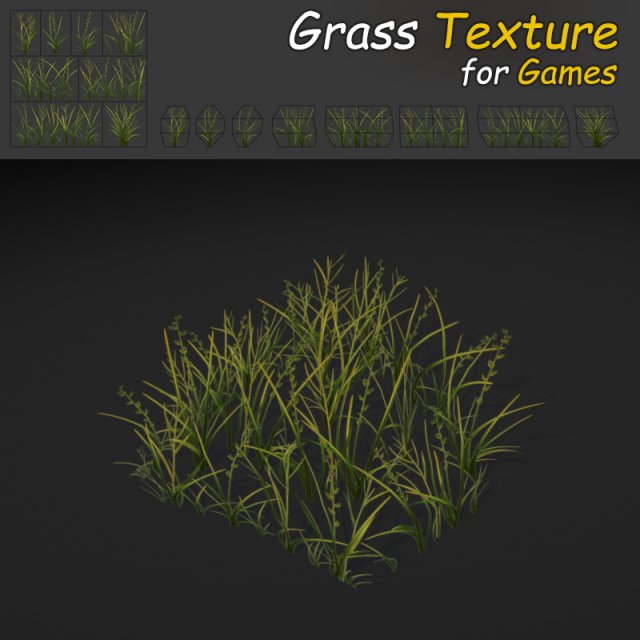 plains grass texture 3D Model .c4d .max .obj .3ds .fbx .stl .blend 