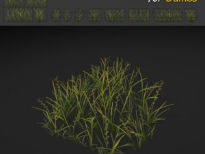 plains grass texture 3D Model