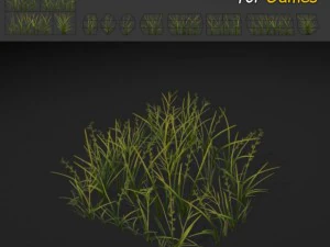 平原の草のテクスチャ 3Dモデル