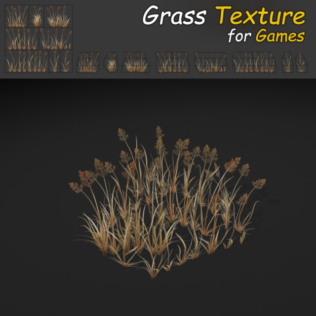 dry bentgrass Modelo 3D .c4d .max .obj .3ds .fbx .stl .blend 