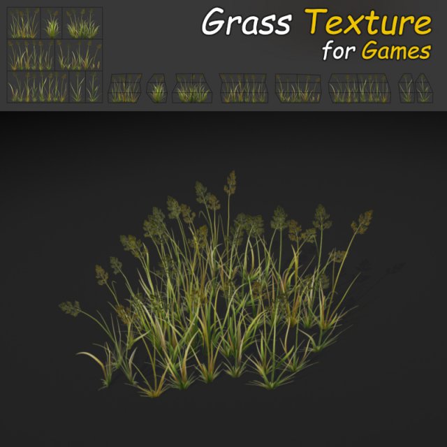 bent grass texture 3D Model .c4d .max .obj .3ds .fbx .stl .blend 