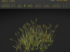 bent grass texture 3D Model