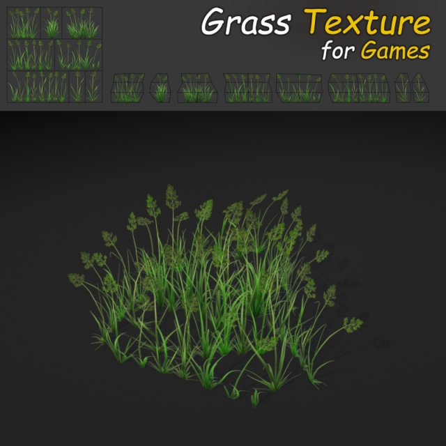 bent grass 3D 模型 .c4d .max .obj .3ds .fbx .stl .blend 