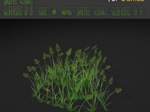 bent grass 3D-Modell
