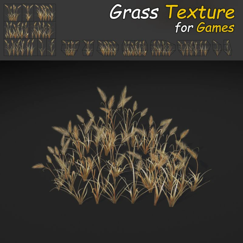 dry feather grass 3D Model .c4d .max .obj .3ds .fbx .stl .blend 