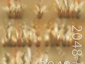 dry feather grass 3D Model