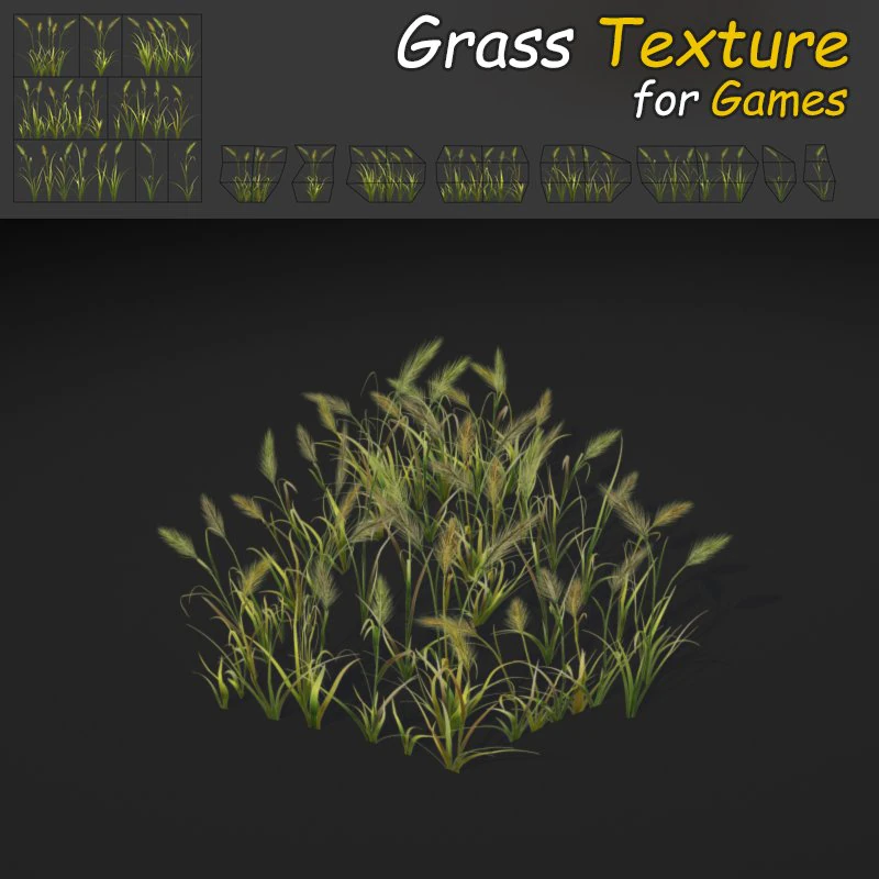 feather reed grass 3D Model .c4d .max .obj .3ds .fbx .stl .blend 