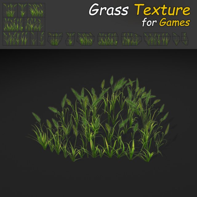 feather grass 3D Model .c4d .max .obj .3ds .fbx .stl .blend 