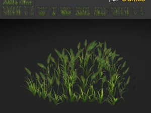 erba piuma Modello 3D