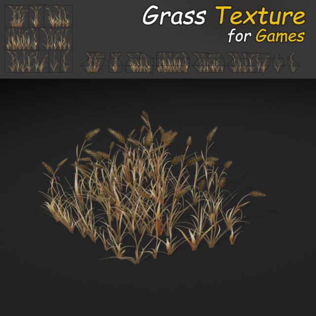 dry wheatgrass texture 3D-Modell .c4d .max .obj .3ds .fbx .stl .blend 