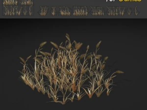 乾燥したウィートグラスのテクスチャ 3Dモデル