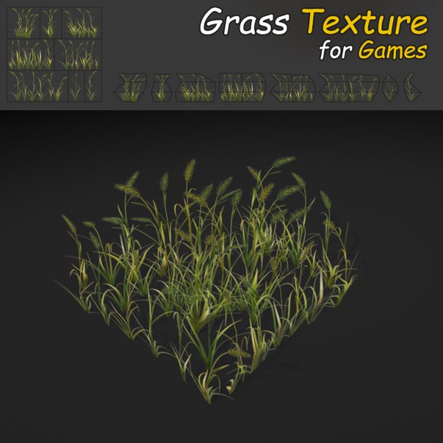 wheatgrass 3D Model .c4d .max .obj .3ds .fbx .stl .blend 