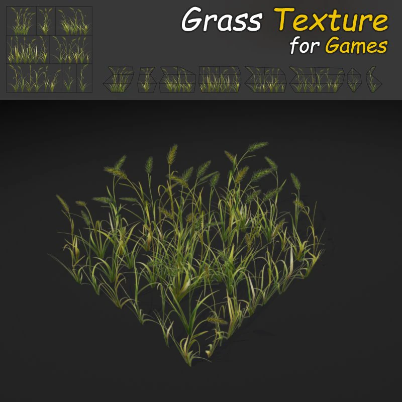 wheatgrass 3D Model .c4d .max .obj .3ds .fbx .stl .blend 