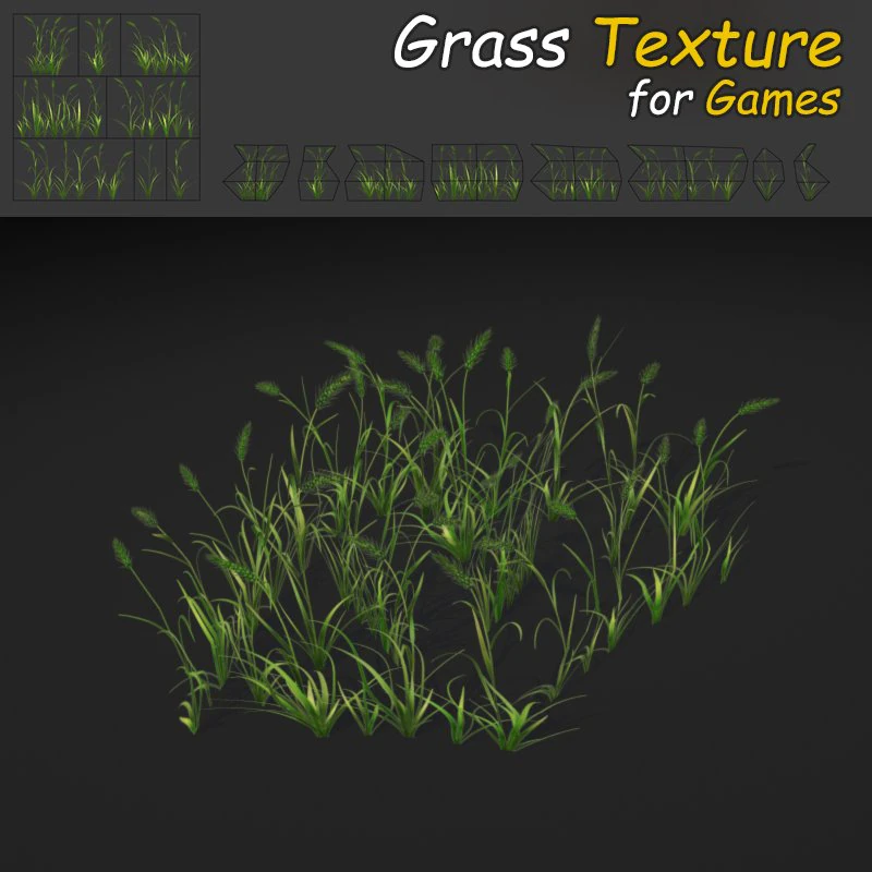 wheatgrass texture 3D Model .c4d .max .obj .3ds .fbx .stl .blend 
