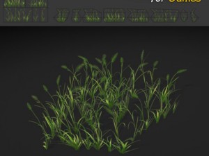 wheatgrass texture 3D Model