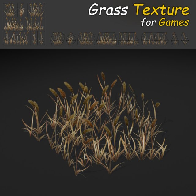 dry timothy grass 3D Модель .c4d .max .obj .3ds .fbx .stl .blend 