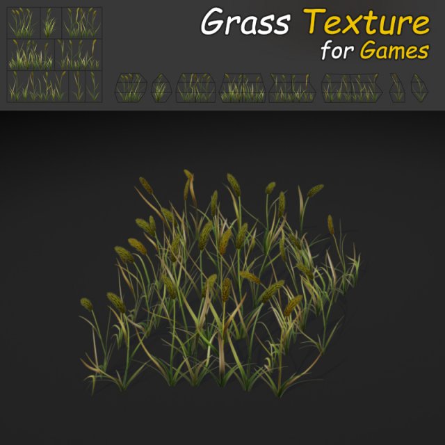 timothy grass Model 3D .c4d .max .obj .3ds .fbx .stl .blend 
