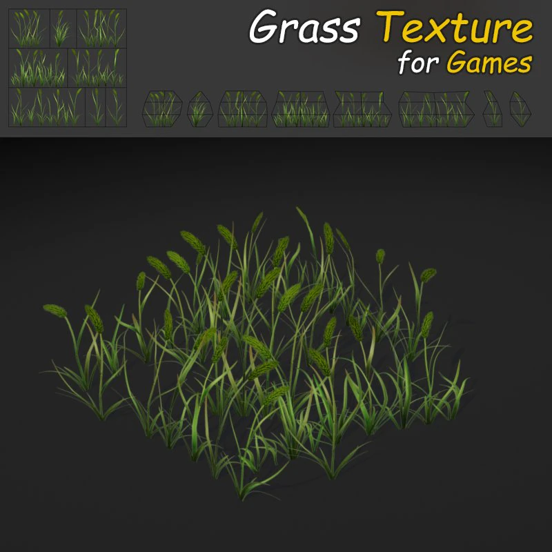 timothy grass texture 3D Model .c4d .max .obj .3ds .fbx .stl .blend 
