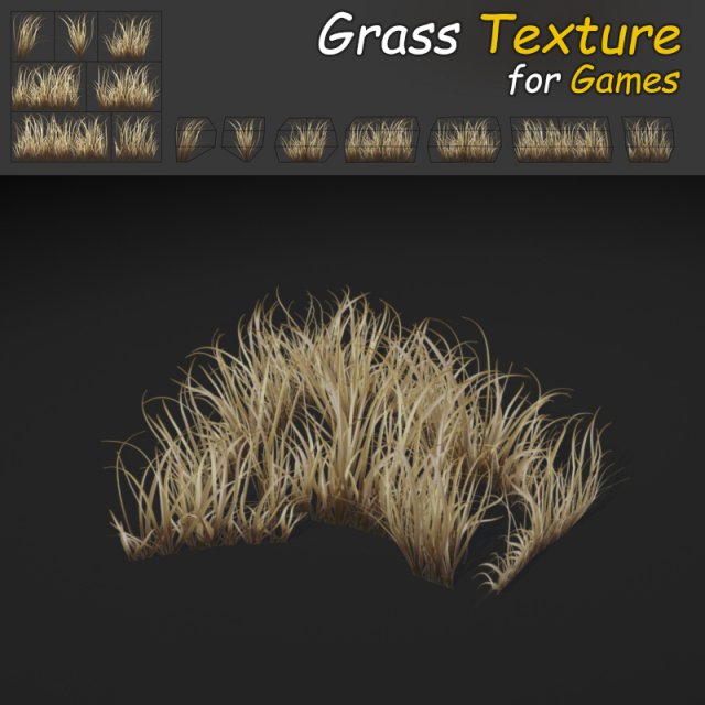 dry dense grass 3D Model .c4d .max .obj .3ds .fbx .stl .blend 