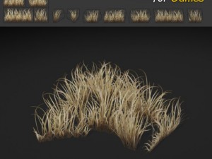 dry dense grass 3D Model