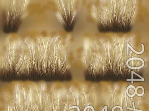 dry dense grass 3D Model