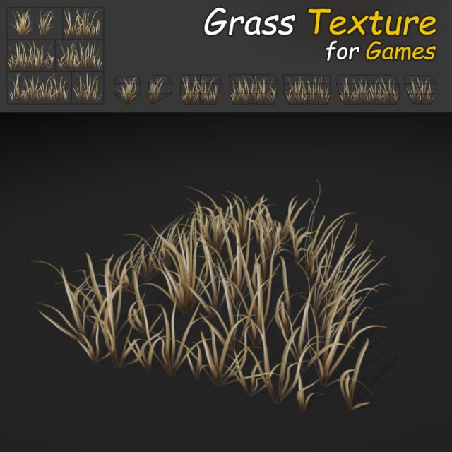 dry wild grass 3D Model .c4d .max .obj .3ds .fbx .stl .blend 