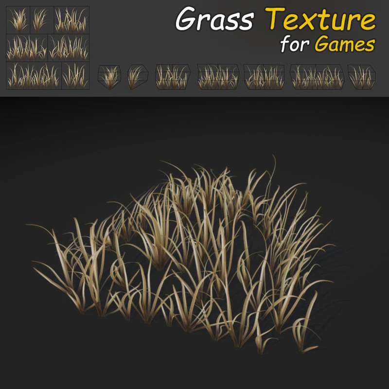 dry wild grass 3D Model .c4d .max .obj .3ds .fbx .stl .blend 