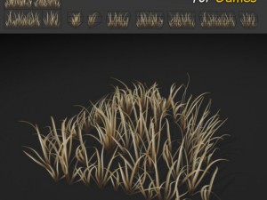 dry wild grass 3D-Modell