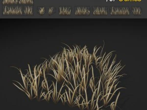 kuru yabani ot 3D Model