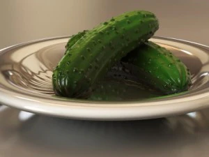 피클 코니숑 3D 모델