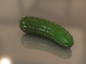 pickle  cornichon 3D मॉडल