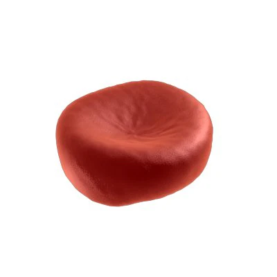 red blood cell 3D Model .c4d .max .obj .3ds .fbx .stl .blend 