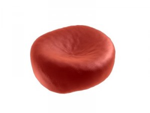 red blood cell Model 3D