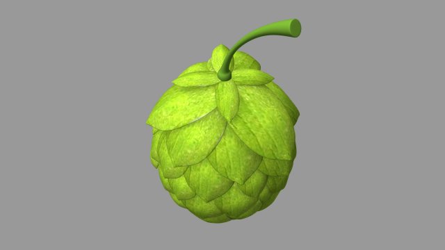 hops Model 3D .c4d .max .obj .3ds .fbx .stl .blend